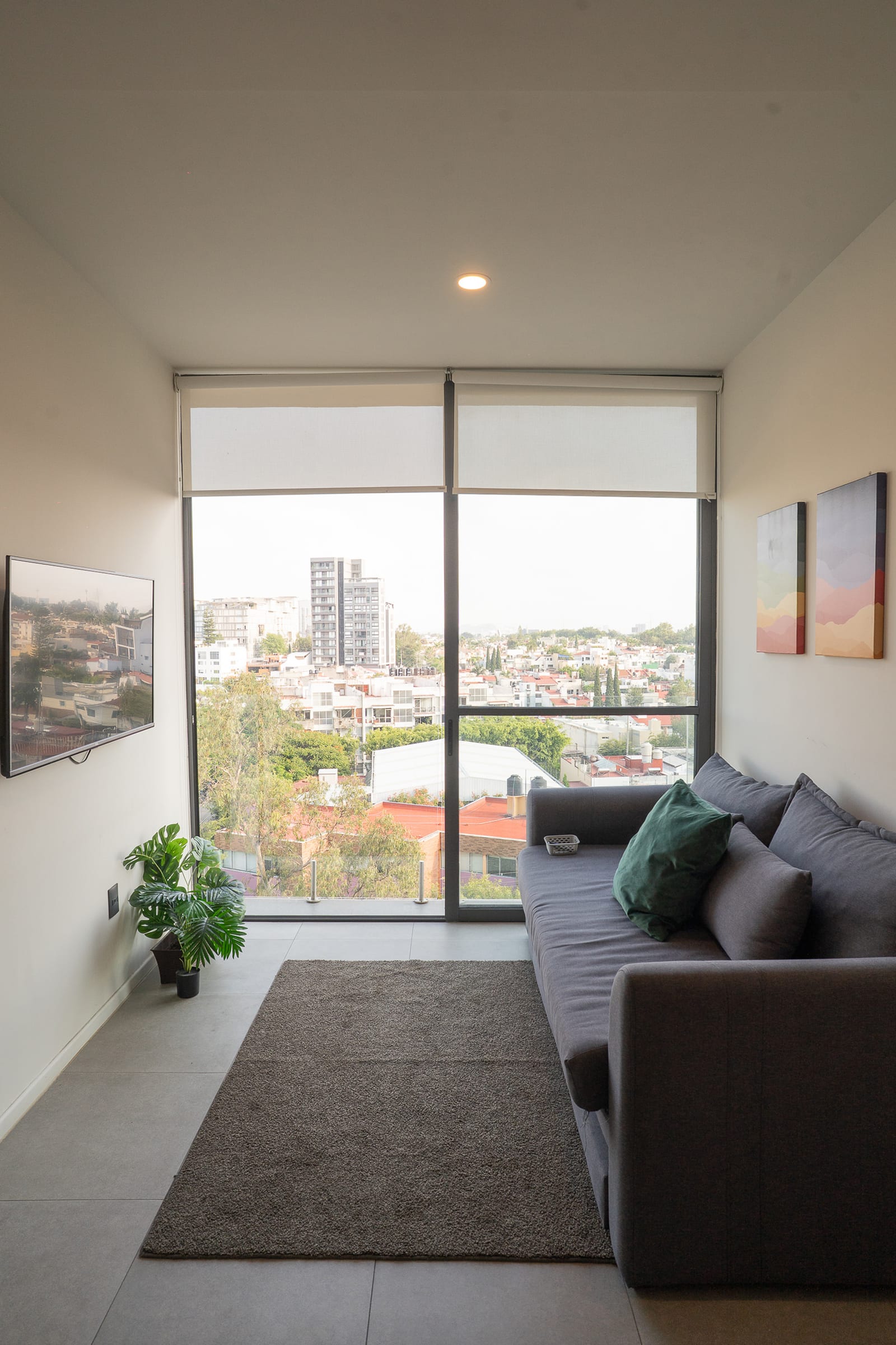 Sala con sofá, TV, planta y vista ciudad.