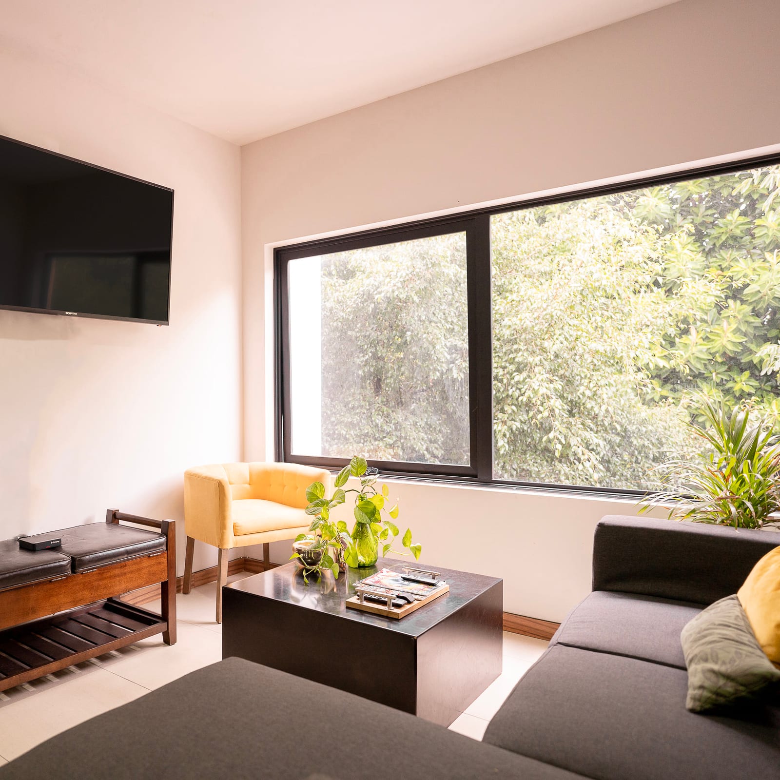 Sala con sillón amarillo y ventana grande